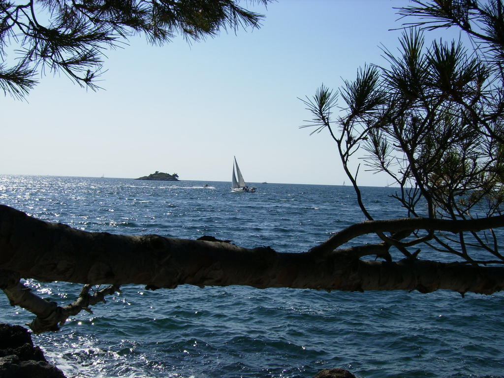 Apartments Carmelo Rovinj Luaran gambar